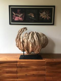 Appartamenti di Andrea - Valeggio sul Mincio - 9