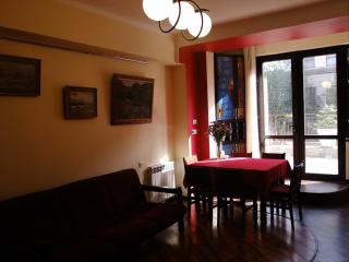 Yerevan center apartment 5A - 8