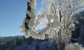 Ferienparadies Wiesenbauer - 7
