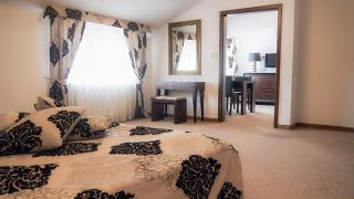 Centrum Konferencyjno-Apartamentowe Mrówka - 1