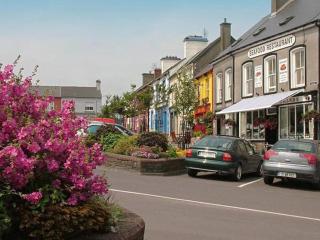 Croi an Bháile Luxury Apartment - Rosscarbery - 6