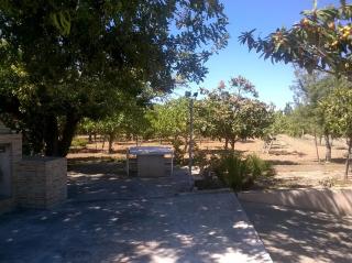 Casa Matilde - Orosei - 7