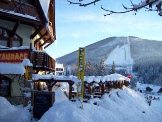 Penzion Rotunda - Harrachov - 1