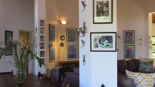 Forest Nest Cottage, Tsitsikamma - Stormsrivier - 6