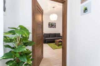 Apartmán Dolní náměstí - Olomouc - 8