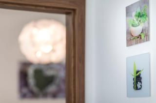 Apartmán Dolní náměstí - Olomouc - 5