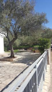 Apartmani Lomar - Stari Grad - 1