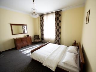 Cosiest 3-room Apartment In Central Lviv - Lviv - 0