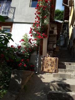 Diana Guesthouse - Veliko Tŭrnovo - 2