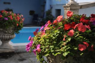 Villa Annamaria B&B - Domaso - 6
