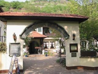 Landhotel Niederthäler Hof - Schloßböckelheim - 5