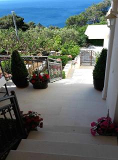 Guest house Fenix Brela - 3