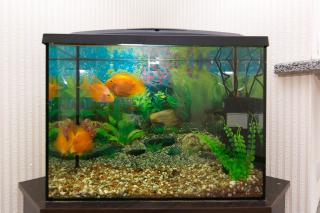 VIP Apartment on Ilinska - Sumy - 5
