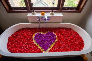 Alosta Luxury Private Villa - Ubud - 3