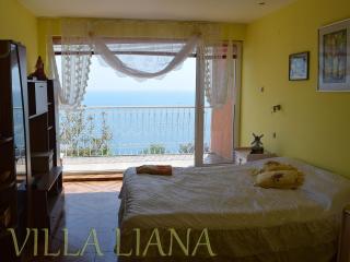 Villa Liana - Bozhurets - 1