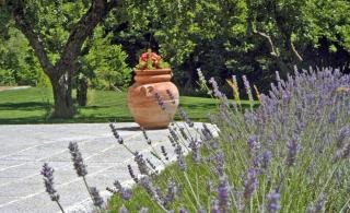 Villa Le Panche - 1