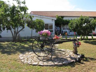 El Condado Casa Rural - Fuentes de Oñoro - 0