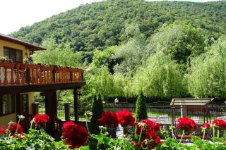 Pension Cuibul Viselor - Băile Herculane - 8