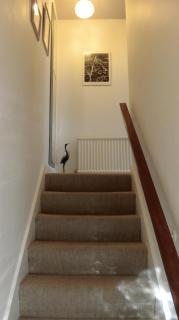 The Haven at Talysarn - Ascot - 8