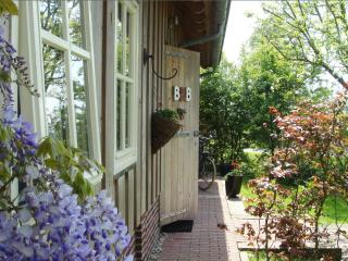 B&B De Pastorie bij Dokkum - Reitsum - 0