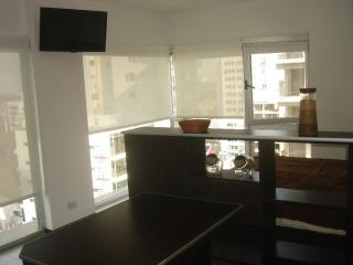 Premium Libertador - Florida - 1