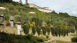 Agriturismo Il Torrino - Cortona - 3
