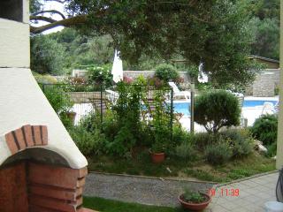 Pool apartments Mirjana - 7