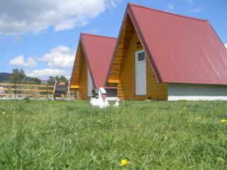 Cottage Borje - Žabljak - 3