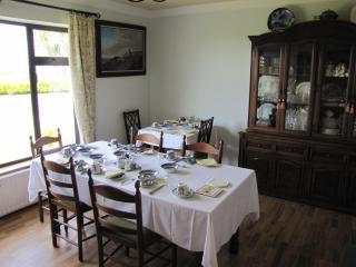 An Dooneen, The Hurley Farm B&B - 5