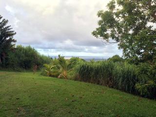 Hamakua Guesthouse - 4
