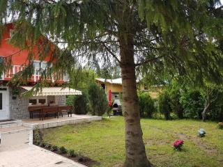Vila Gabriela - Buşteni - 8