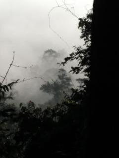 The Last Frontier Boutique Resort - 7