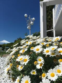 Boutique Hotel Villa am See - Hagnau am Bodensee - 1