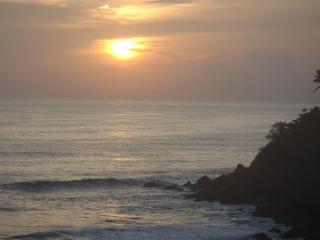 Gumnut Beach House - 5