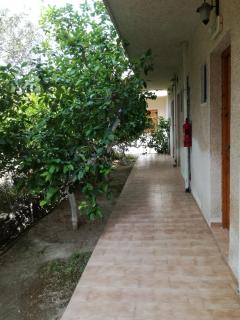 Pericles Studios - Agia Marina Aegina - 1