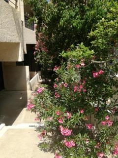 Pericles Studios - Agia Marina Aegina - 0