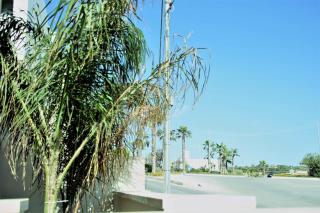St. Peter's Pool Holiday Apartment - Marsaxlokk - 2