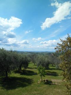 Le Maribelle - Monticchiello - 9