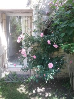 B&B Le verger - Échillais - 9