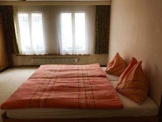 Happy central apartment - Interlaken - 7
