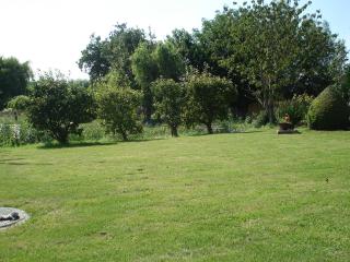 B&B Hoeve 't Geleed - Damme - 2