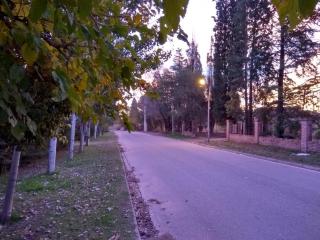 Alojamiento Cuchi Corral - 9