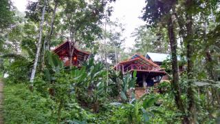 Surf Break at Paunch - Bocas del Toro - 6