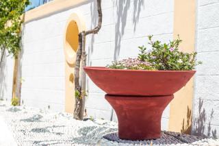Mosaic Gardens - Faliraki - 4