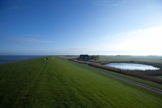 Tede Warft - Pellworm - 8