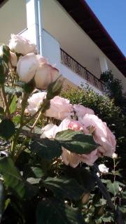 Hotel Archontiko Dimitra - Vergina - 9