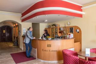 Hotel Česká Koruna - Děčín - 6