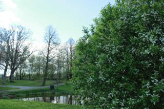 Nurmeveski Holiday House - 1