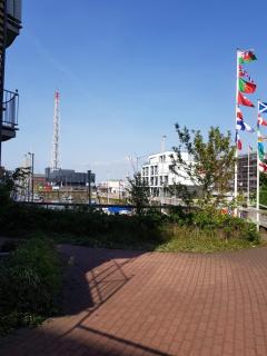 Studio-Wohnung Cuxhaven - Cuxhaven - 1