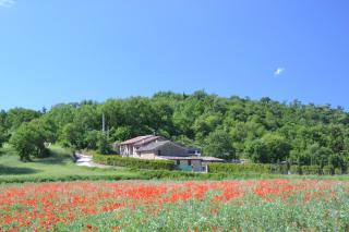 Casa Nestore Holiday Apartments - Castiglione della Valle - 1